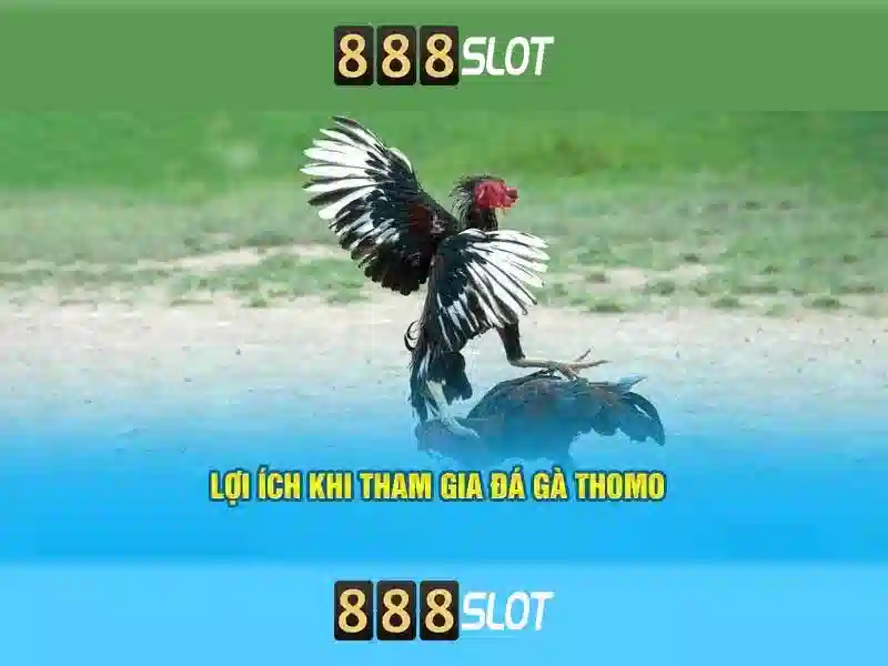 tai 888slot – Hướng Dẫn Đăng Ký & Nạp Tiền