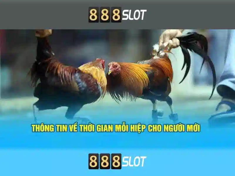 Hướng Dẫn Cài Đặt Link Alternatif