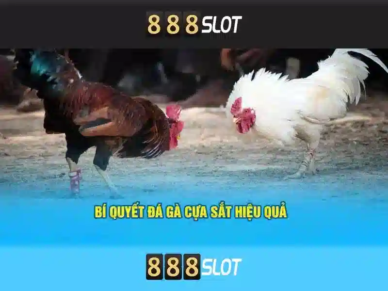 Trải Nghiệm Slot Đỉnh Cao