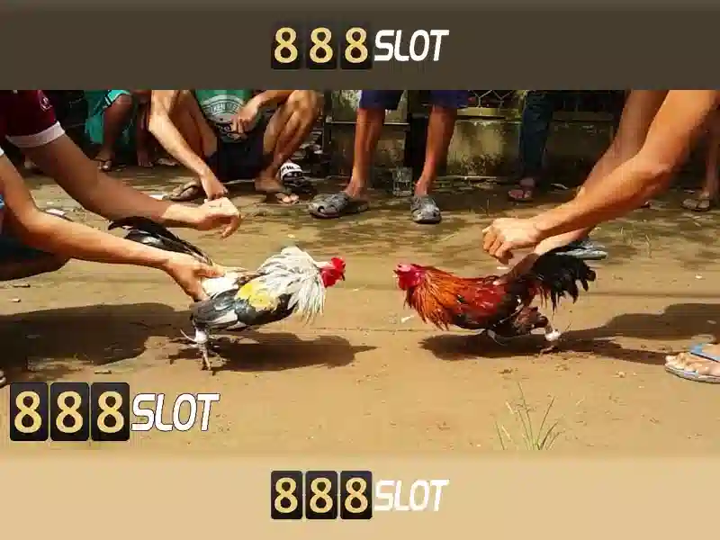 Slot 888 Bet – Nền Tảng Slot Uy Tín Với Tỷ Lệ Thưởng Cao Nhất
