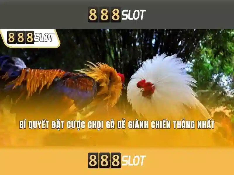 Ưu Đãi Hấp Dẫn