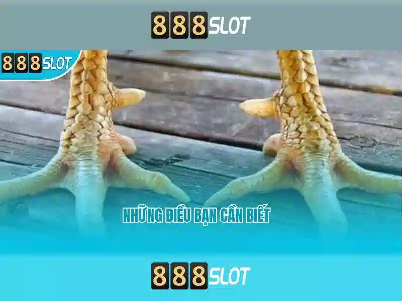 tải 888slot