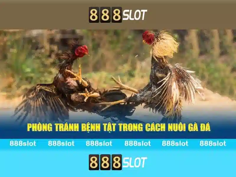 Hướng dẫn đăng nhập 888SLOT nhanh chóng và an toàn