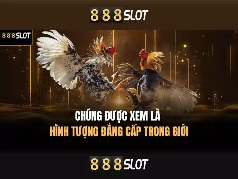 Hướng Dẫn Download 888slot