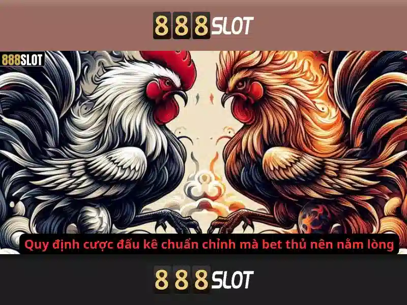 Điều khoản miễn trừ 888SLOT
