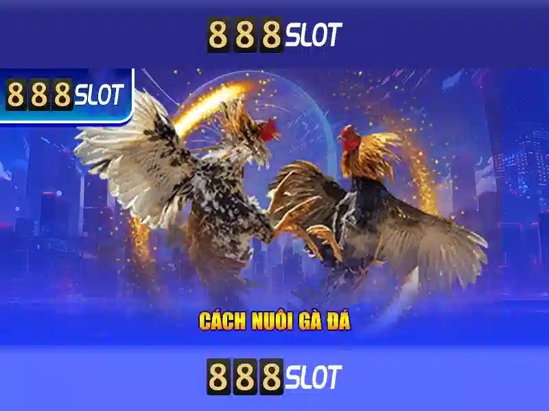 Ưu Điểm Nổi Bật