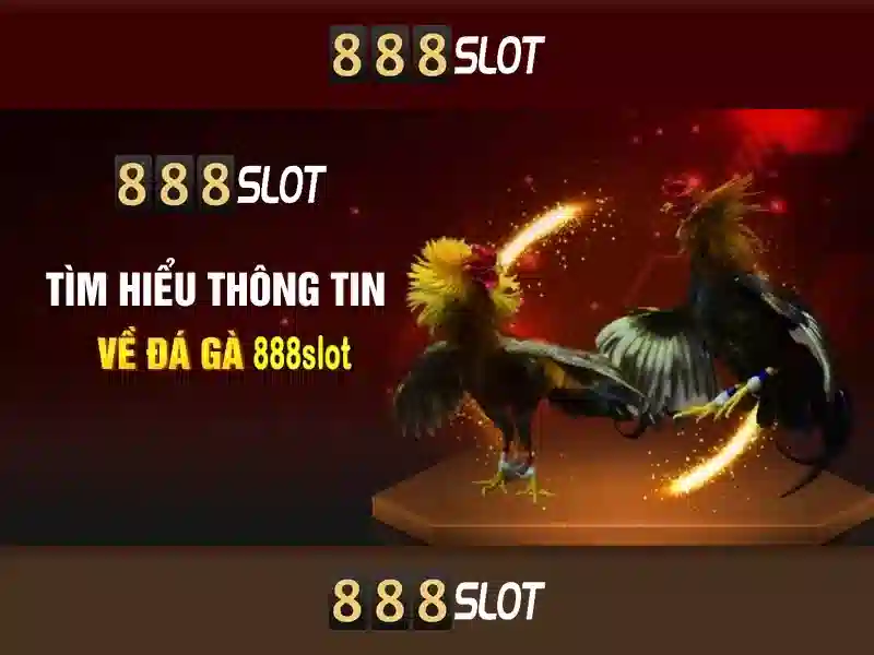888SLOT – Kèo Cược Đỉnh Cao Với Tỷ Lệ Cược Cạnh Tranh