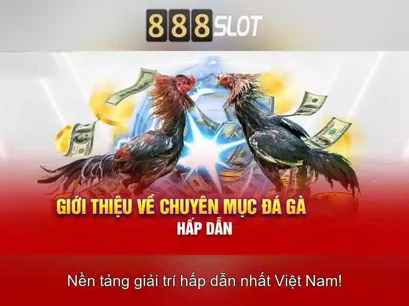 Ưu Đãi 888slot