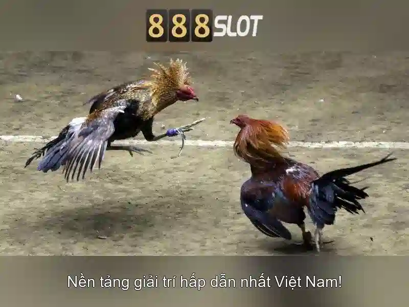 slot 888 nổ hũ