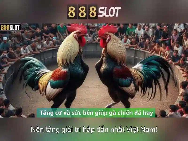 Đặc Điểm Nổi Bật