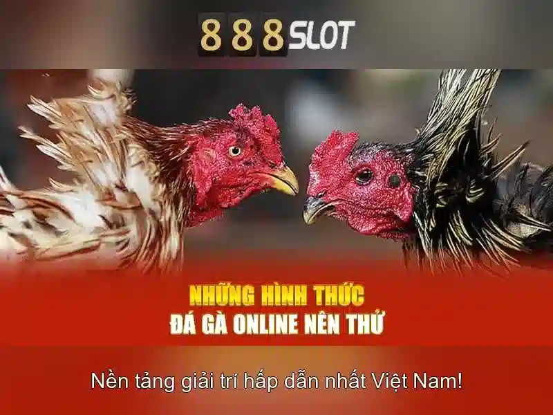 Hỗ trợ 24/7 cho người chơi 888SLOT