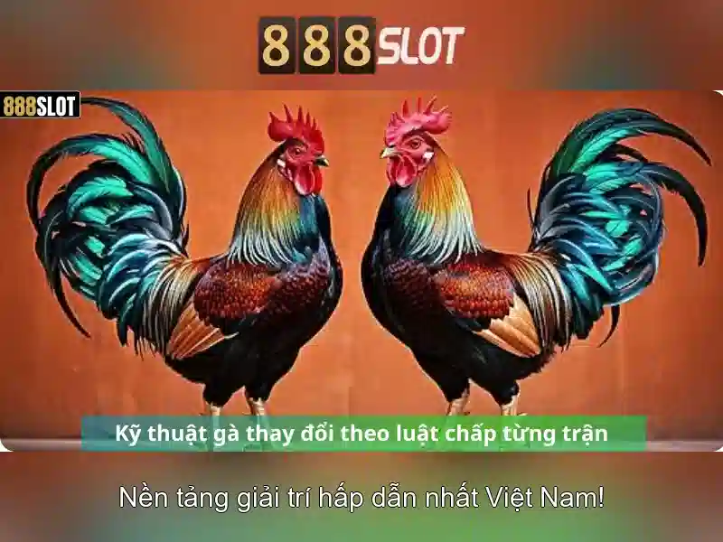 888slot net – Khuyến Mãi Hấp Dẫn