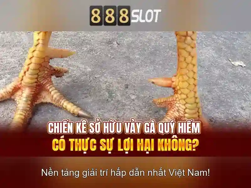 Kênh 888slot Channel