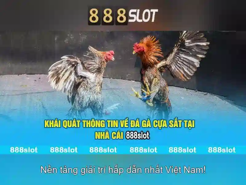 Trải Nghiệm Di Động