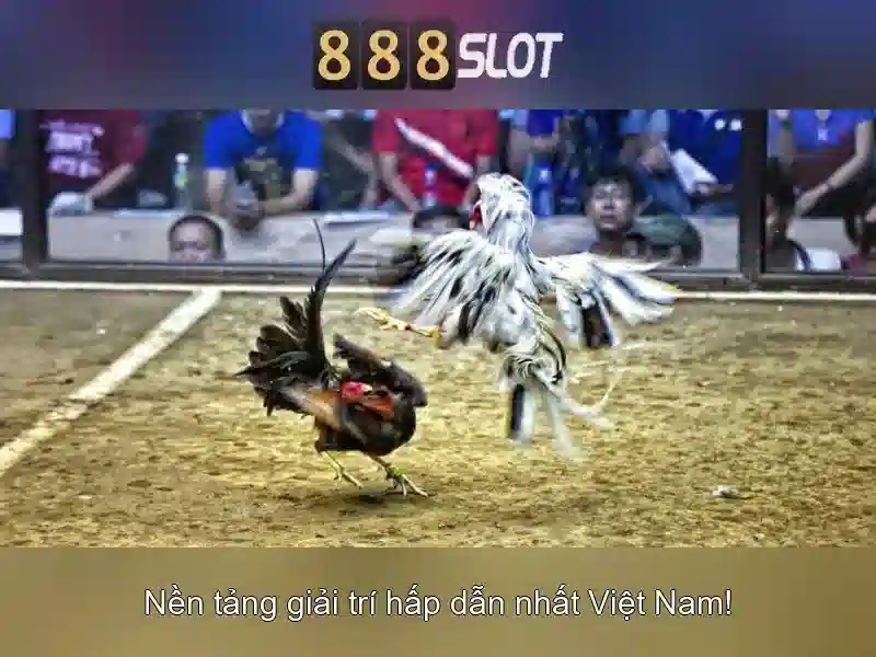 888 Slot 5 - Thử Vận May, Kiếm Jackpot Tiền Tỷ Mỗi Ngày