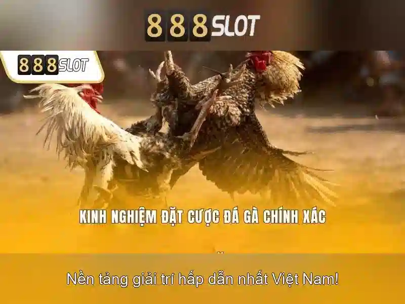 Trải Nghiệm Đa Dạng